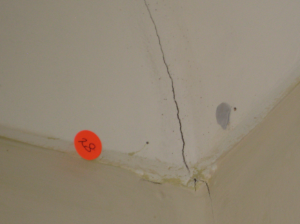 Inspection detail